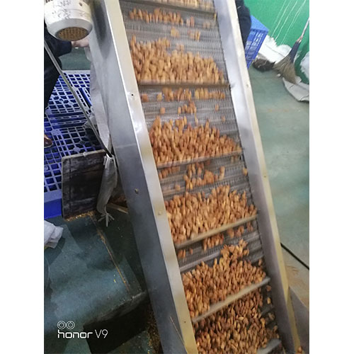 网带输送机