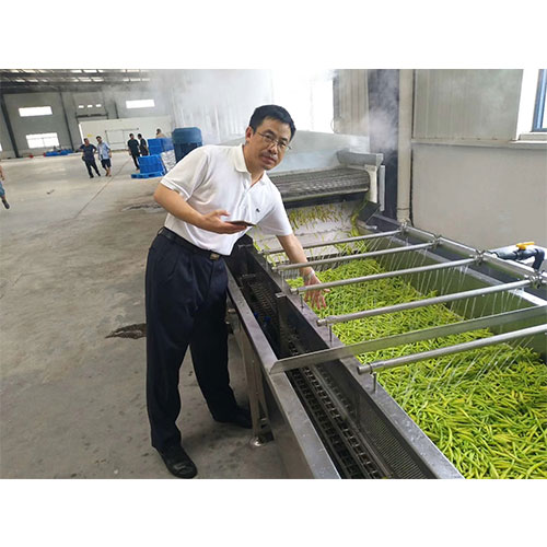 网带输送机
