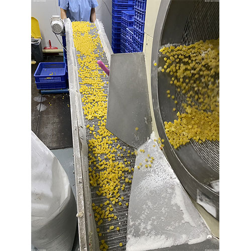 盐城网带输送机