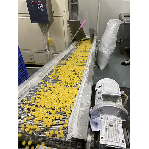 网带输送机