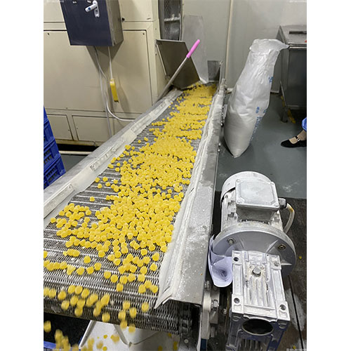 网带输送机