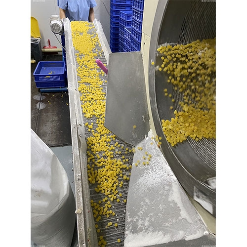 网带输送机